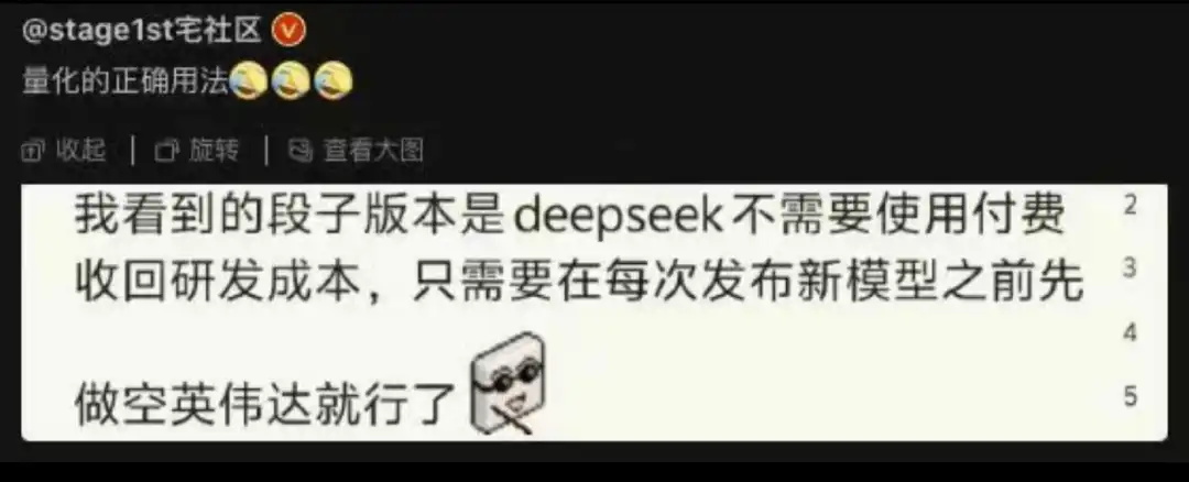 ذģ8½ڴȫλ˽DeepSeek