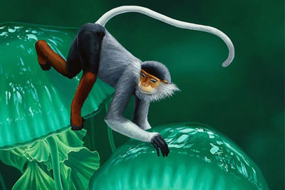 精美的动植物插画设计作品欣赏