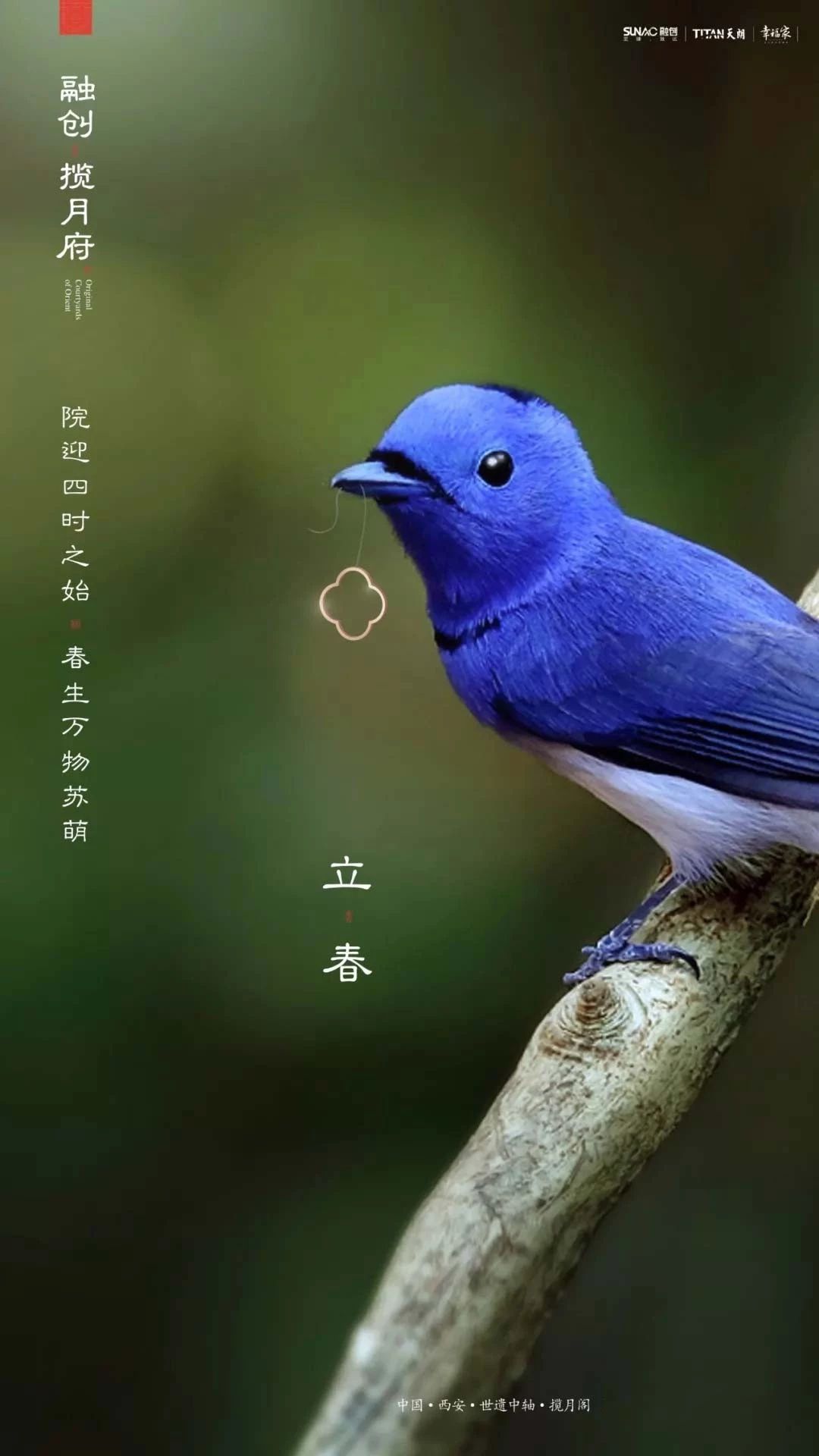 68张立春借势海报设计作品集