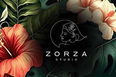 zorza品牌VI设计