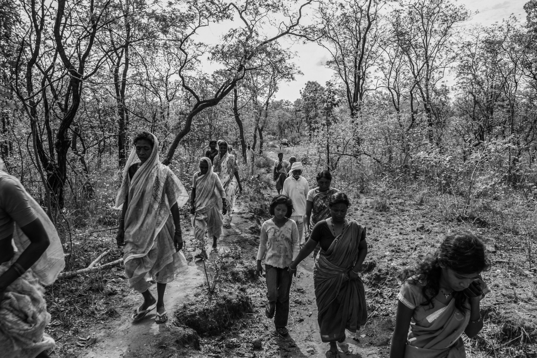 边界：人虎冲突，版权;&#65039;Senthil Kumaran