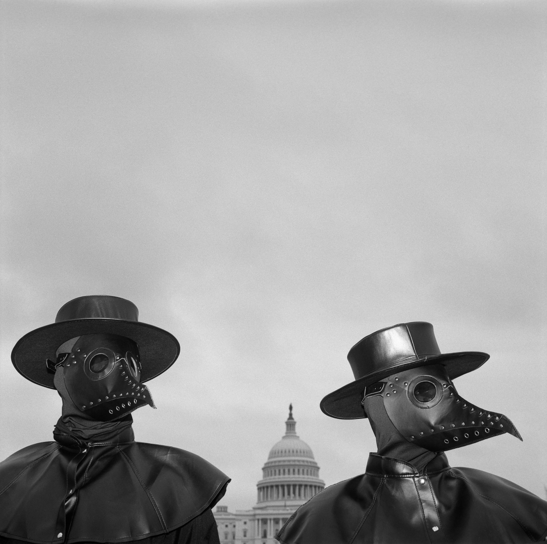 Political Year Zero，版权; Louie Palu