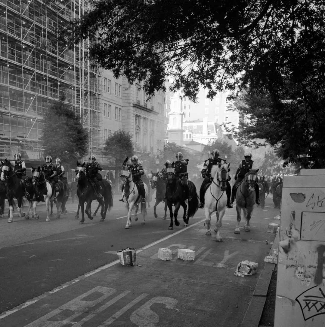 Political Year Zero，版权; Louie Palu