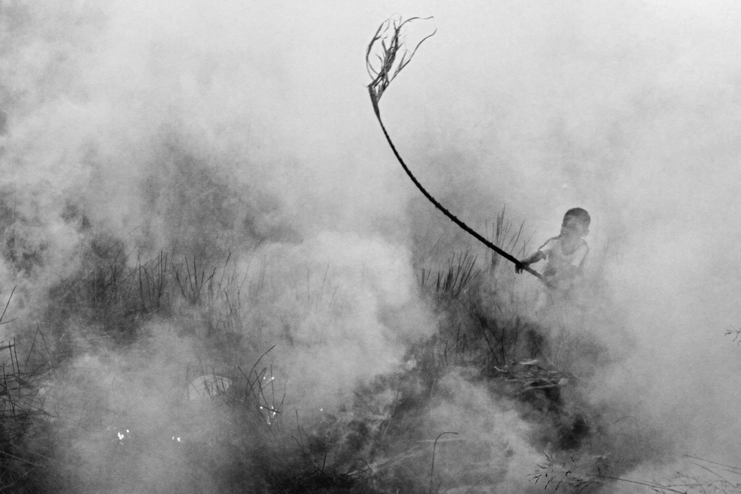 阴霾，版权; Abriansyah Liberto